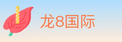 龙8国际 logo